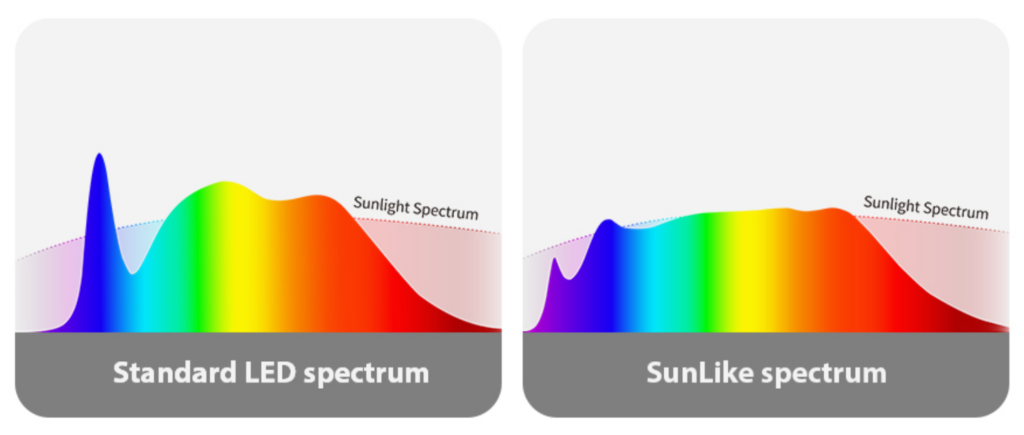 comparison standard LED spectrum and SunLike spectrum